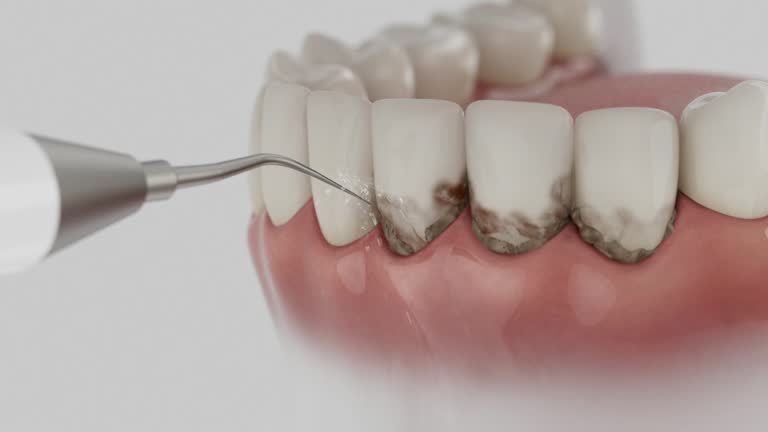 Reliable Dental contractor in Kenneth City, FL by Dentist Open Now